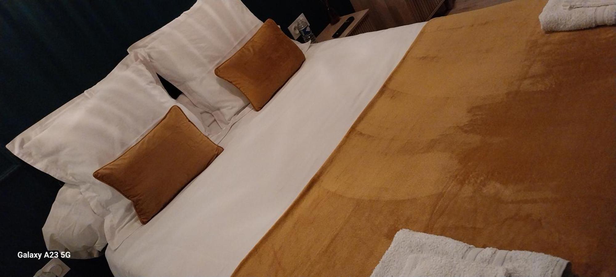 "Chez Lyly Et Juju" Piscine&Sauna Calme 3Chambres アンジェ エクステリア 写真