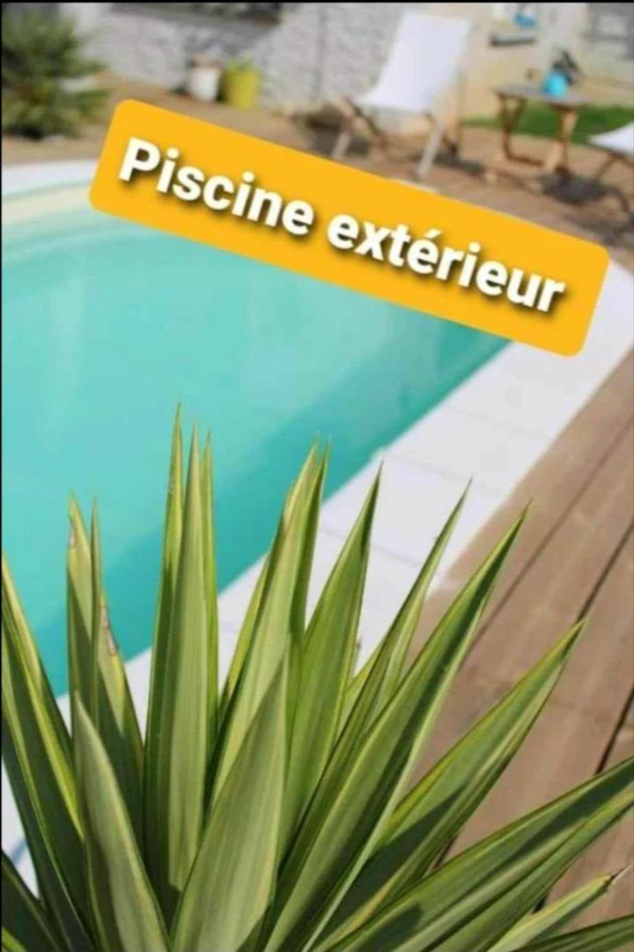 "Chez Lyly Et Juju" Piscine&Sauna Calme 3Chambres アンジェ エクステリア 写真