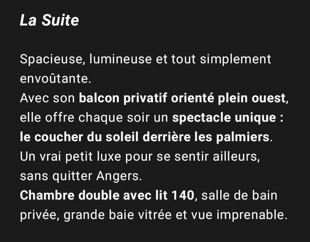 "Chez Lyly Et Juju" Piscine&Sauna Calme 3Chambres アンジェ 部屋 写真